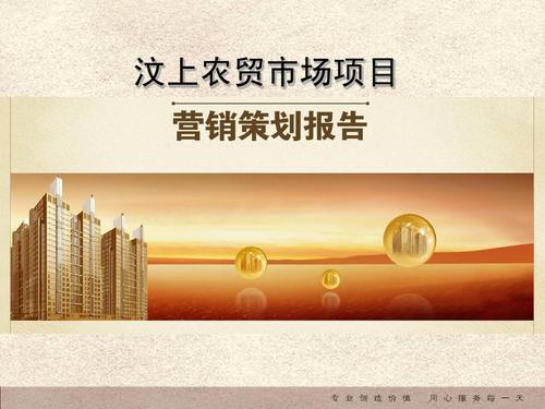 汶上農貿市場全程整合營銷策劃報告ppt